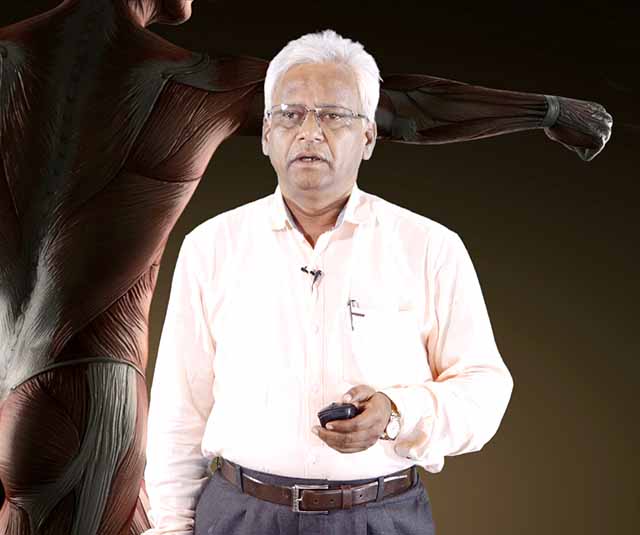 PRAMANA SAREERA - Part B